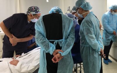 Hoher Besuch – 7 internationale Kollegen in Zürich